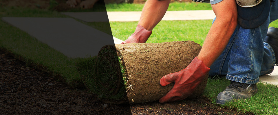 Browns Mills Landscapers